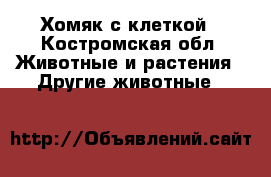 Хомяк с клеткой - Костромская обл. Животные и растения » Другие животные   